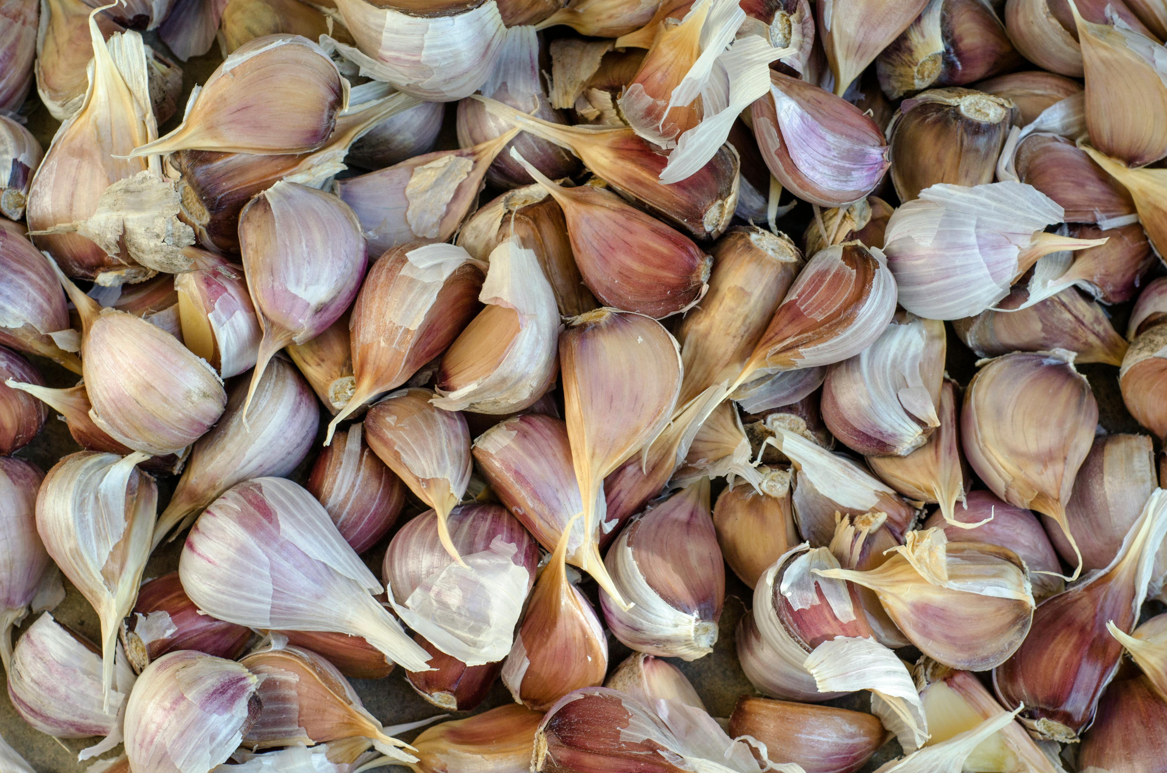 garlic cloves